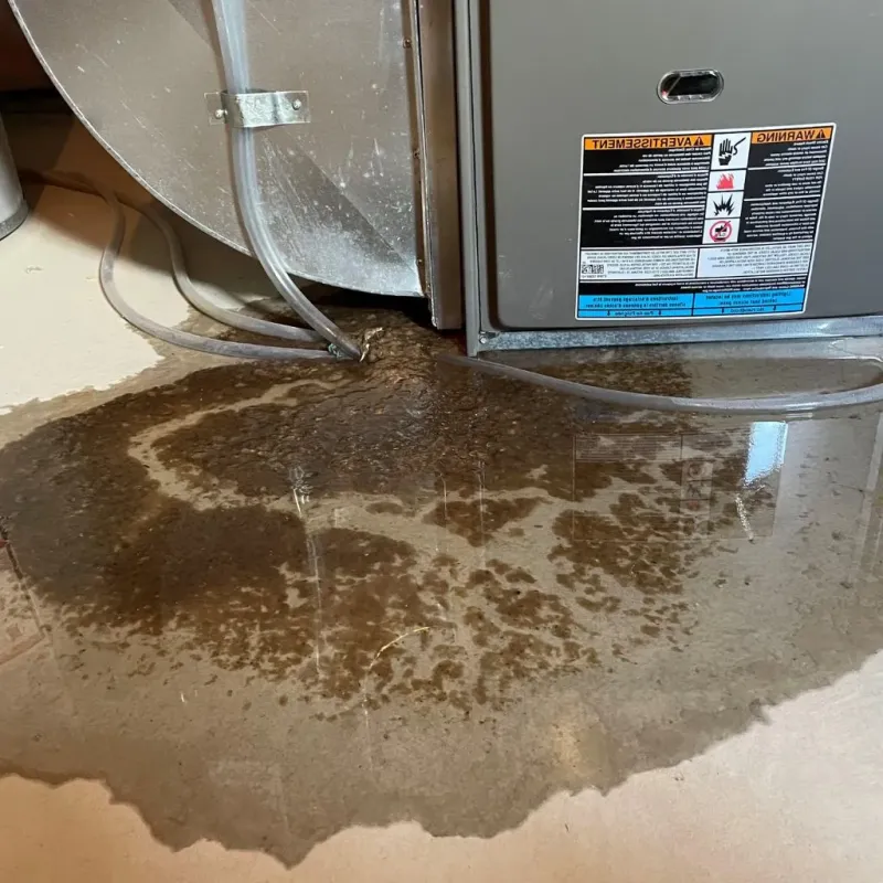 Pipe Burst and Leak Restoration in Reading, MA